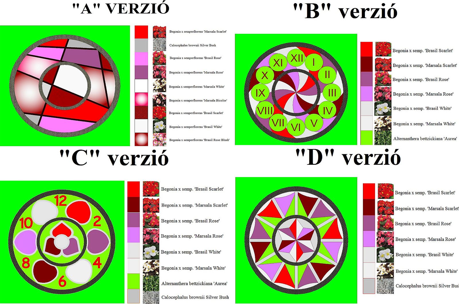 Vasárnap éjfélig lehet még szavazni milyen legyen jövőre a Virágóra